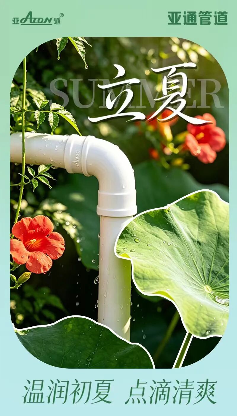 立夏 | 温润初夏，点滴清爽