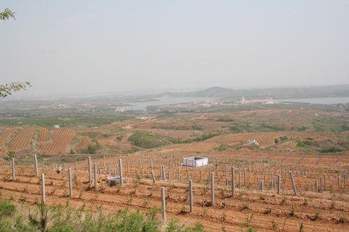 1598251778105625.jpg 蓬莱基地型节水灌溉工程.jpg