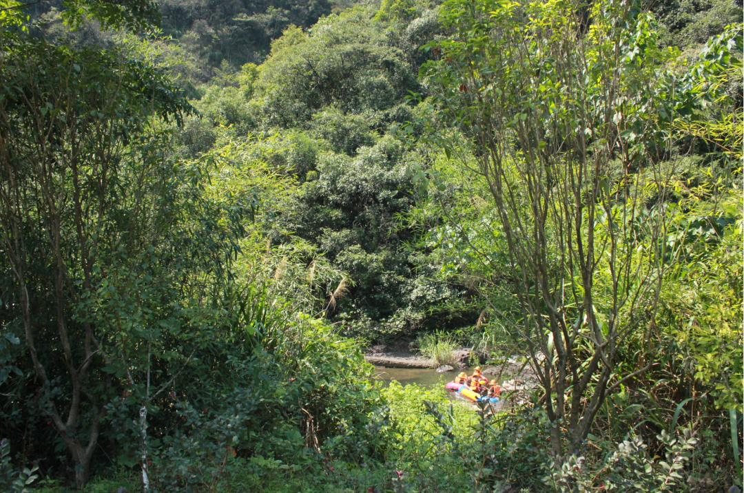 1600244333547880.png 图片 5.png