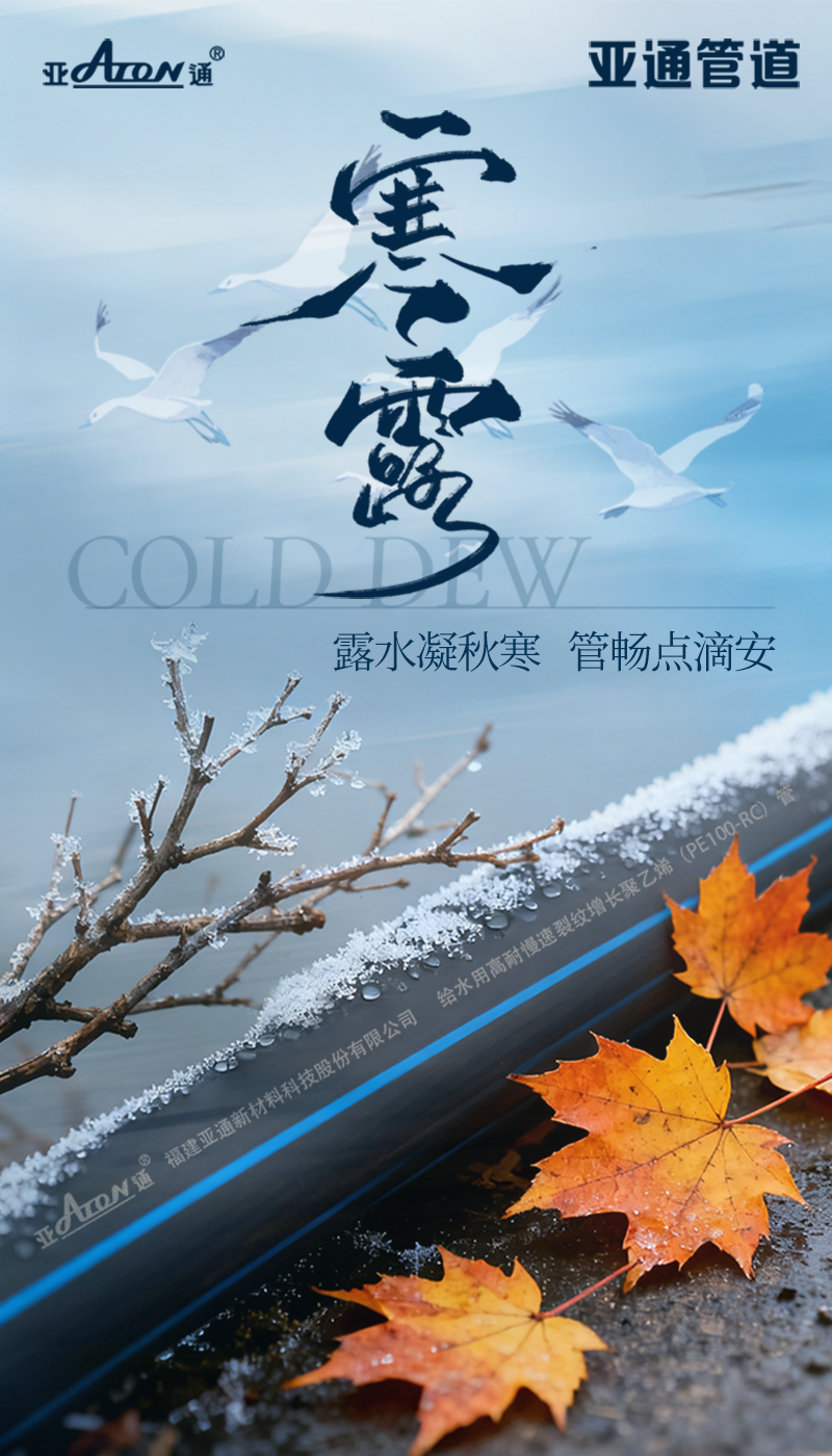 寒露.png