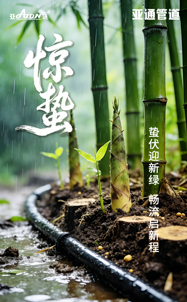 惊蛰.png